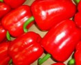 Pimiento Rojo de Almería 1kg